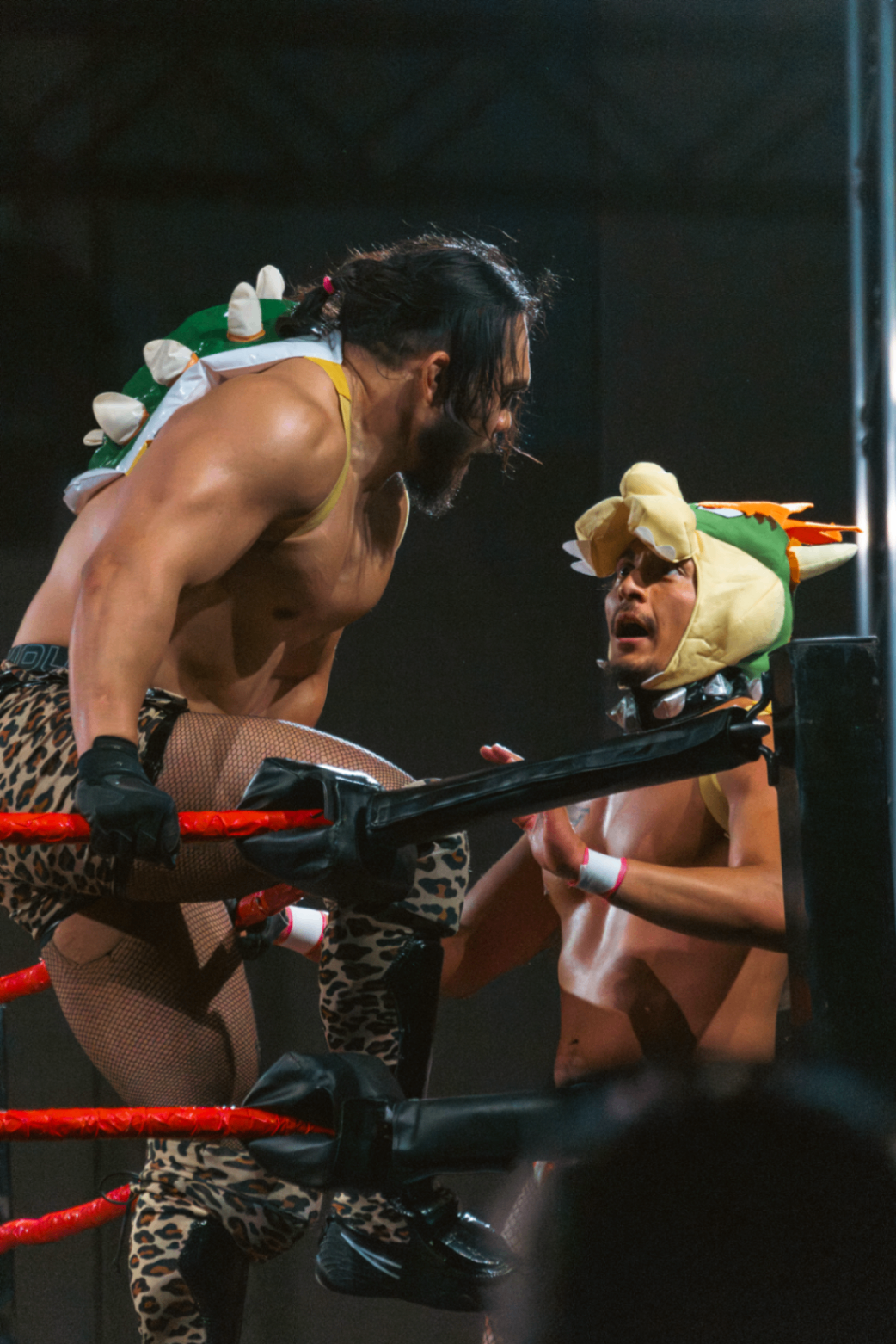 Bowser cornered by a leopard-print challenger